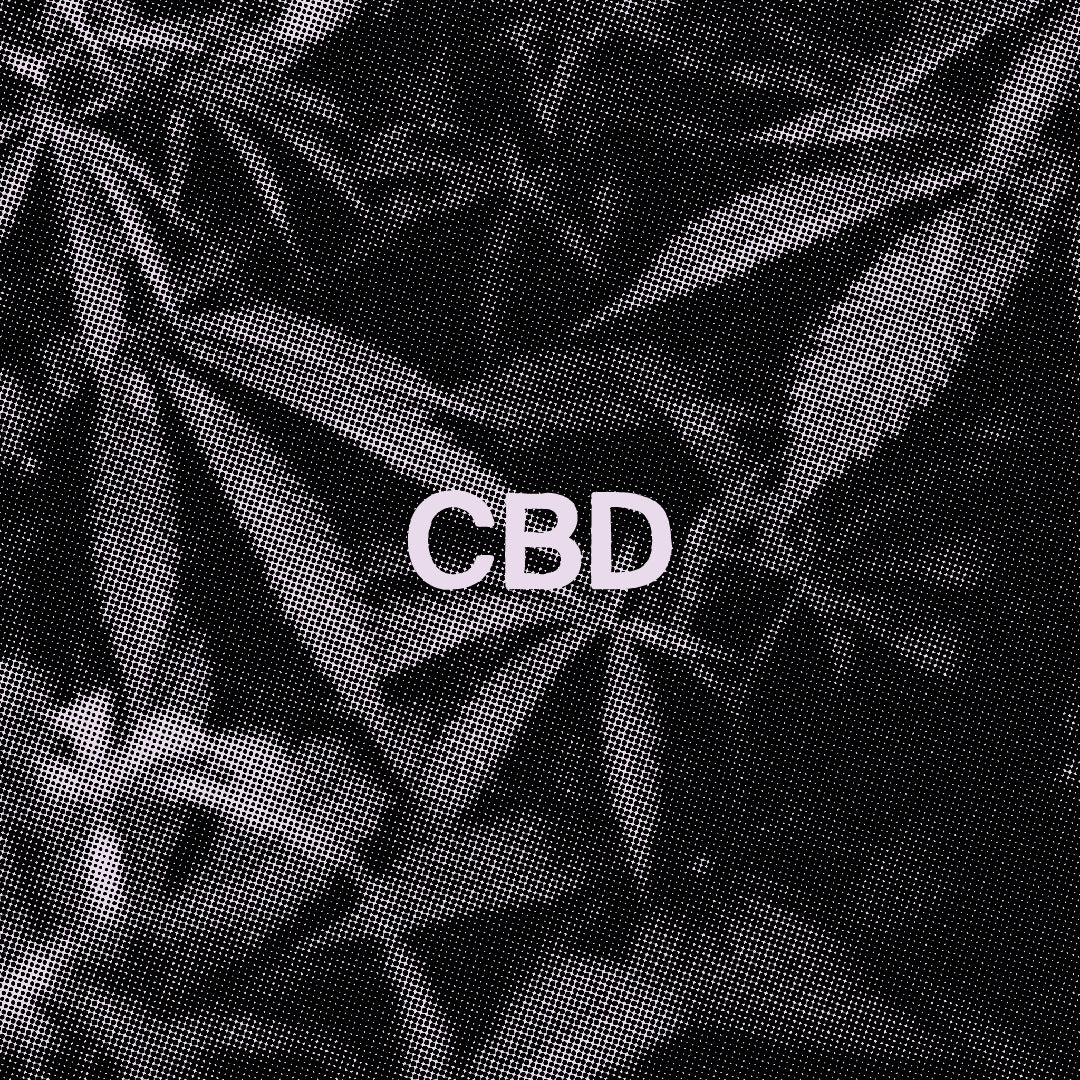 CBD Chocolate vs. Traditional Chocolate: A Healthier Indulgence?